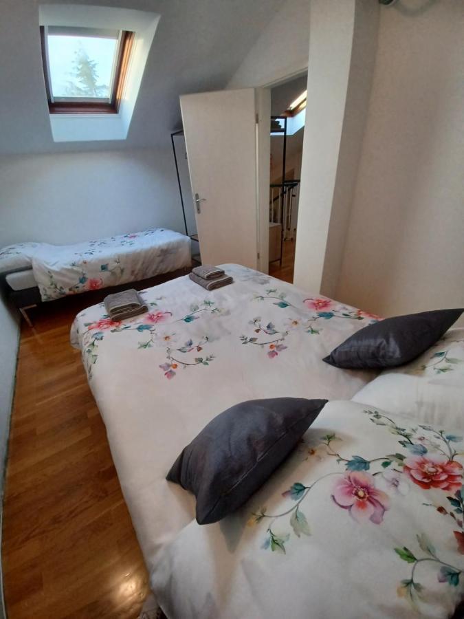 Stunning New Apartment In Centre Of Buzet Kültér fotó